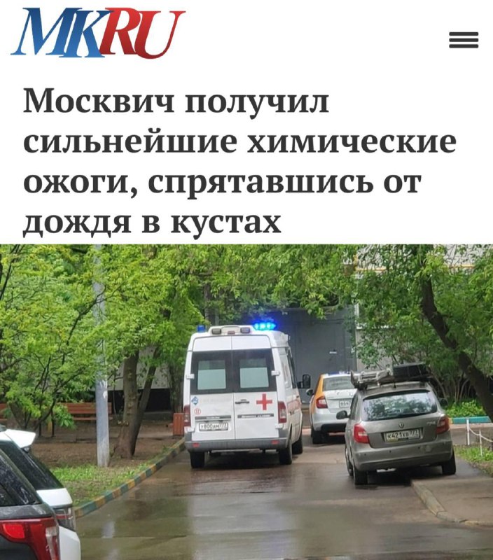 Москвич получил сильнейшие химические ожоги, спрятавшись от дождя в кустах. Мужик просто решил безоп