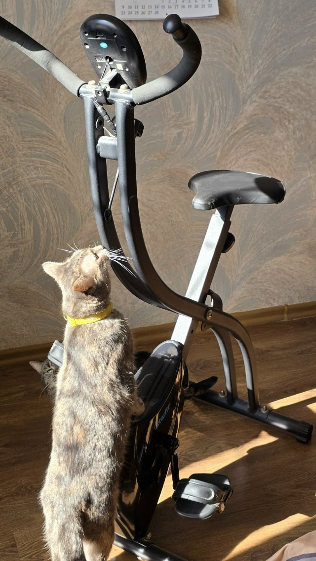 Худеем к лету