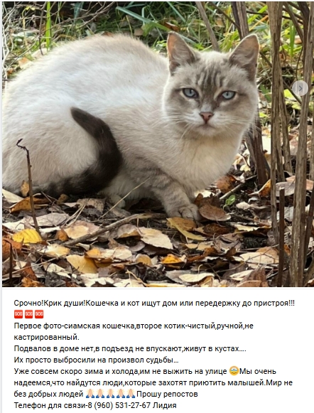 Пост добра. Распространите, пожалуйста.