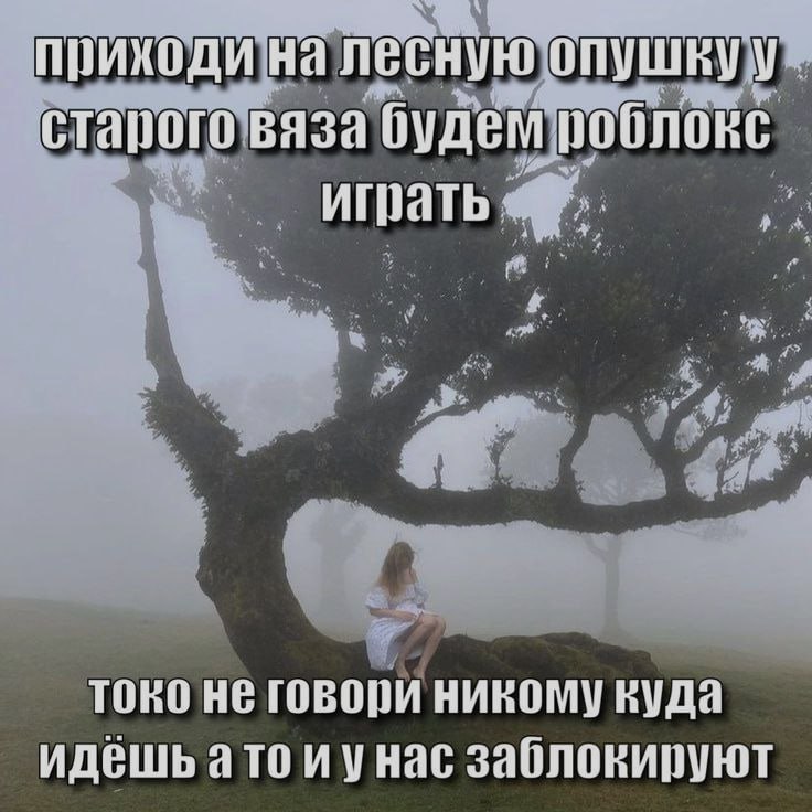 Ночная подборочка
Спать, режим