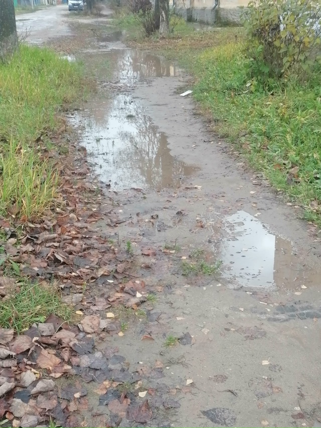 ⚡ Улица Летняя
Это наш тротуар. По нашей родной улице. ...