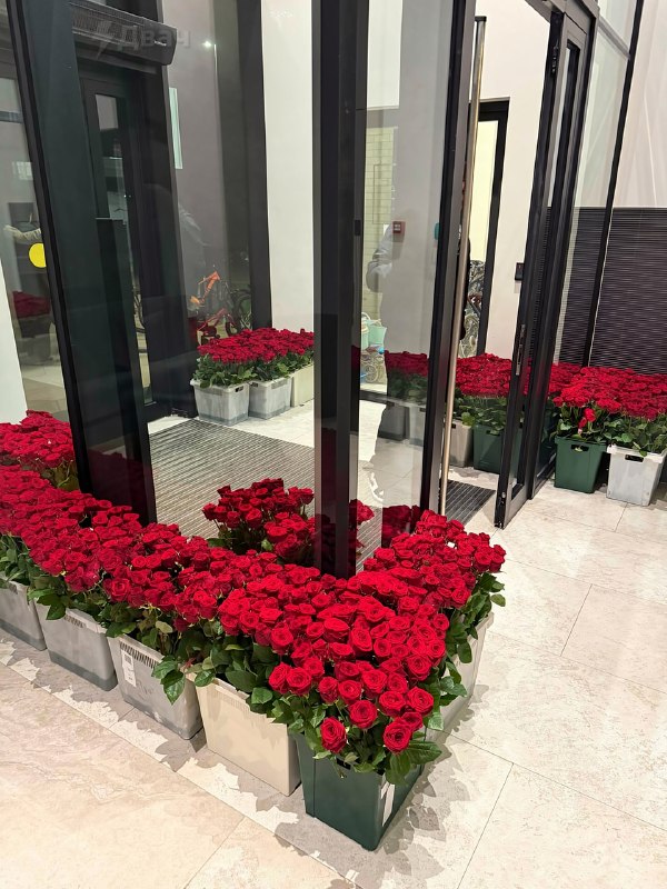 Москвич заплатил 70 миллионов рублей за признание в любви
Курьеры всю ночь таскали миллион роз и за