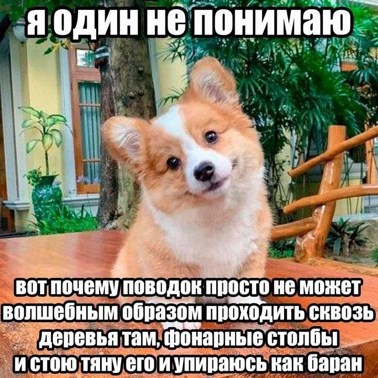 Утренняя подборочка