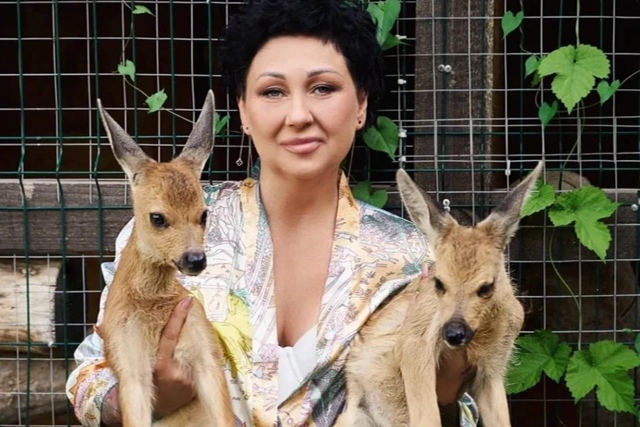 🥹 Двух детенышей косули спасли от гибели в Самаре
Жит...