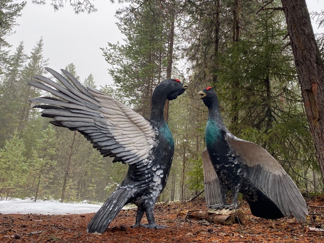 Мастерица из Пинеги превращает родной край в арт-объек...