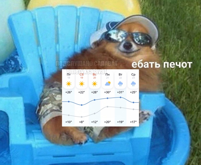 Муд салаватцев на ближайшие дни🔥