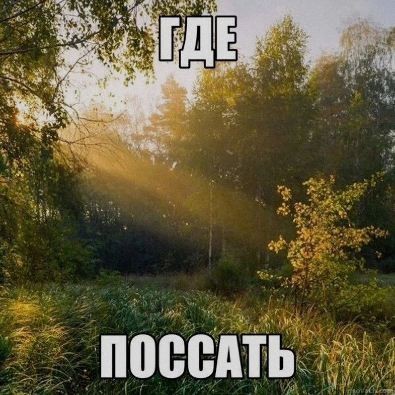 Ночная подборочка
Спать, режим
