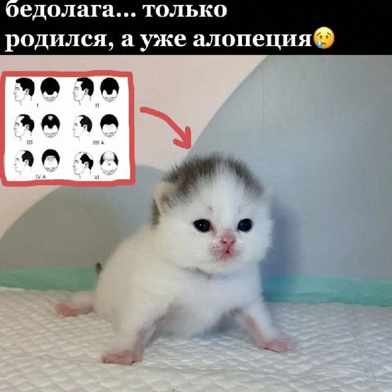 Утренняя подборочка