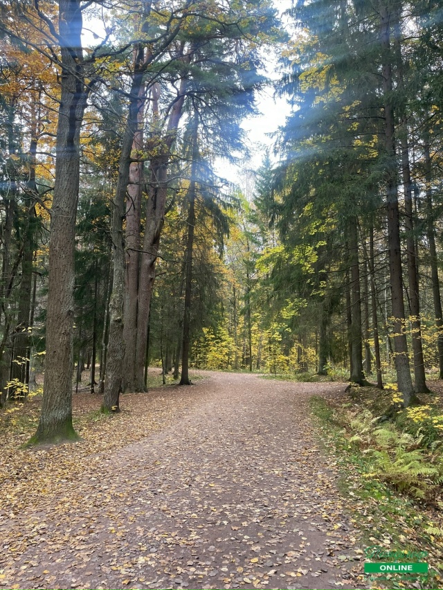 Парк Сергиевка