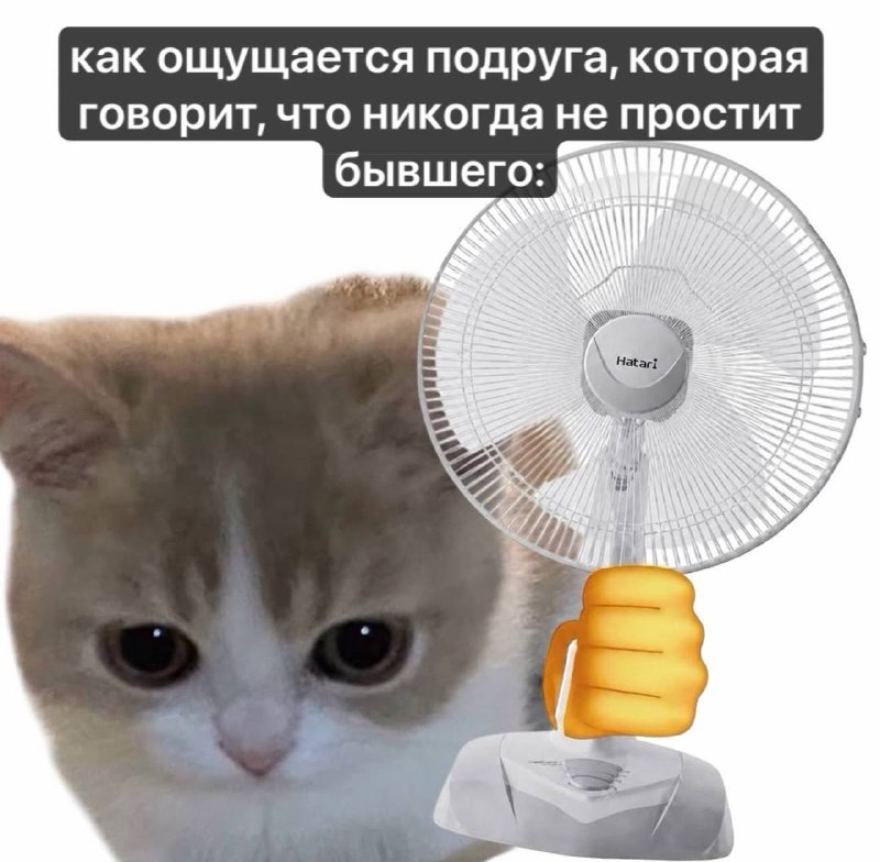Перешли подруге 😄