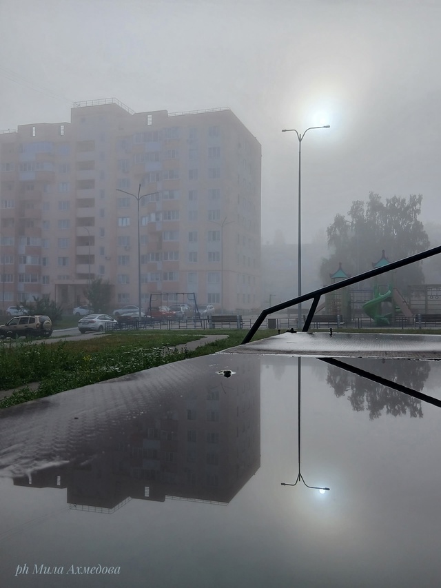 Утро туманное...🌫Всем хорошего дня и отличного настро?...
