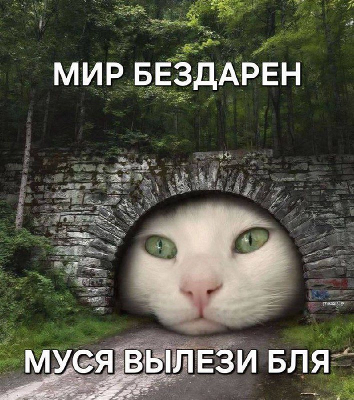 Утренняя подборочка