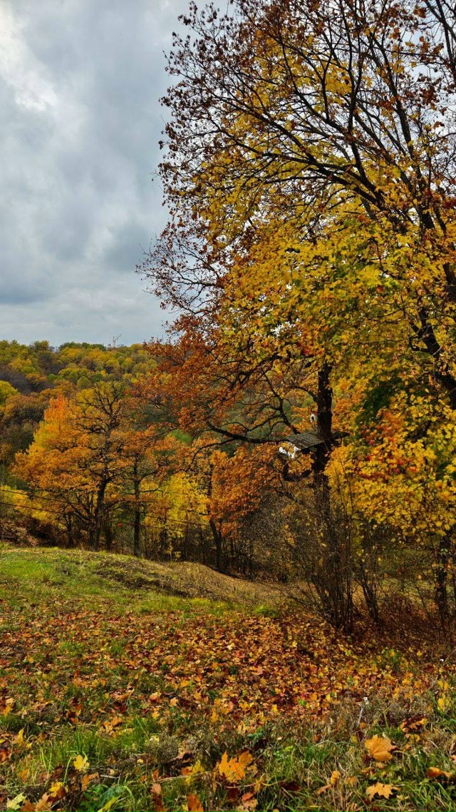 Чудесные осенние пейзажи нашей области
