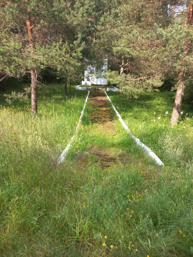 Прошу обратить внимание администрации города Острова ...
