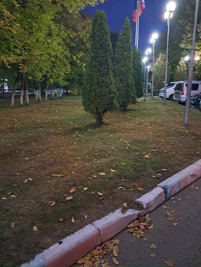 Найден наушник, положили на бордюр около администраци?...