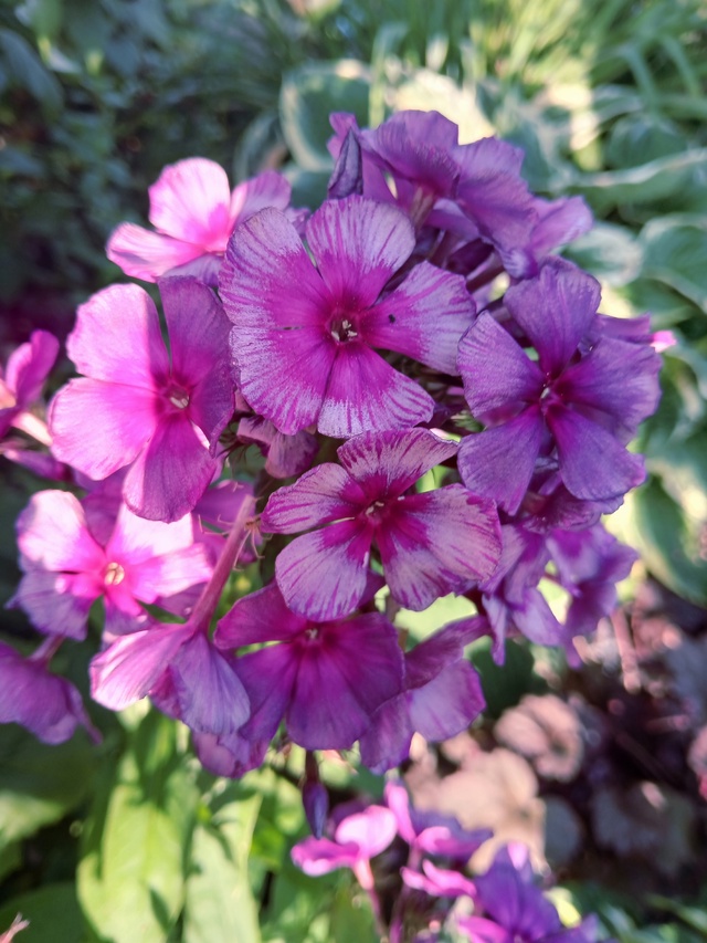 В наличии🌸🌸🌸