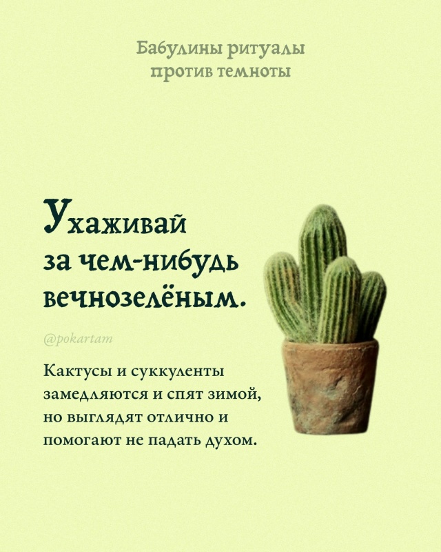 Единственное спасение для этих безумных времён, когда ...