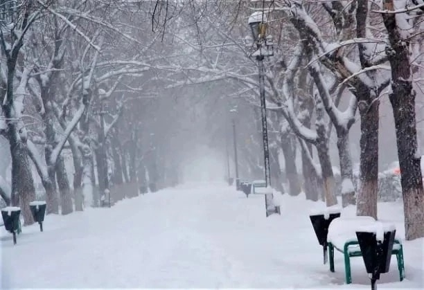 ❄ Снежный покров может появиться в Перми и крае уже на ...