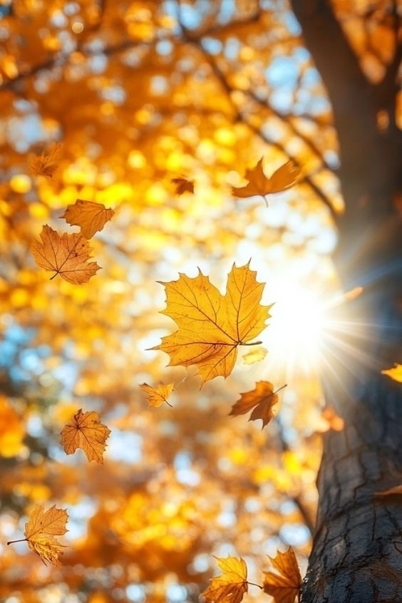 Я не могу позволить себе тратить впустую такую драгоце...