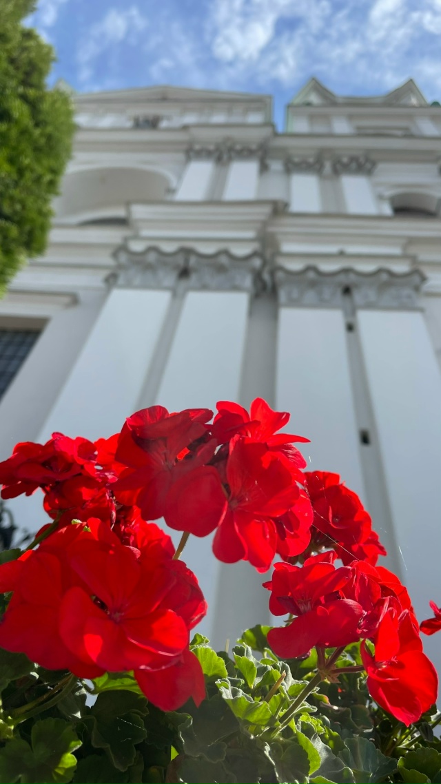 22-23 НОЯБРЯ 🏰ЗАМКИ ГРОДНО и ЛИДЫ
Мы отменили доплату д?...