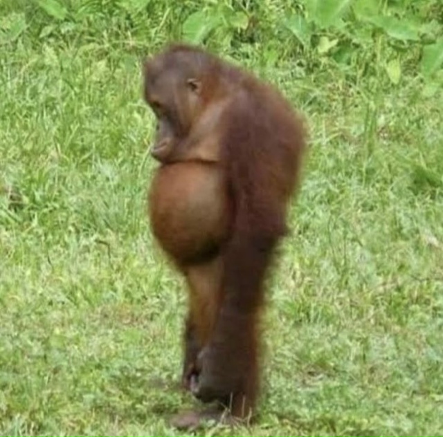 Каковы же причины возникновения подобной ситуации?