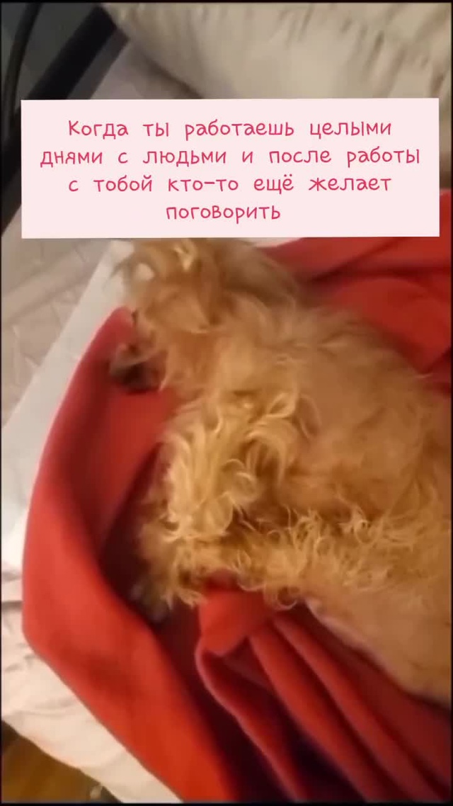 О, как это знакомо! 😄