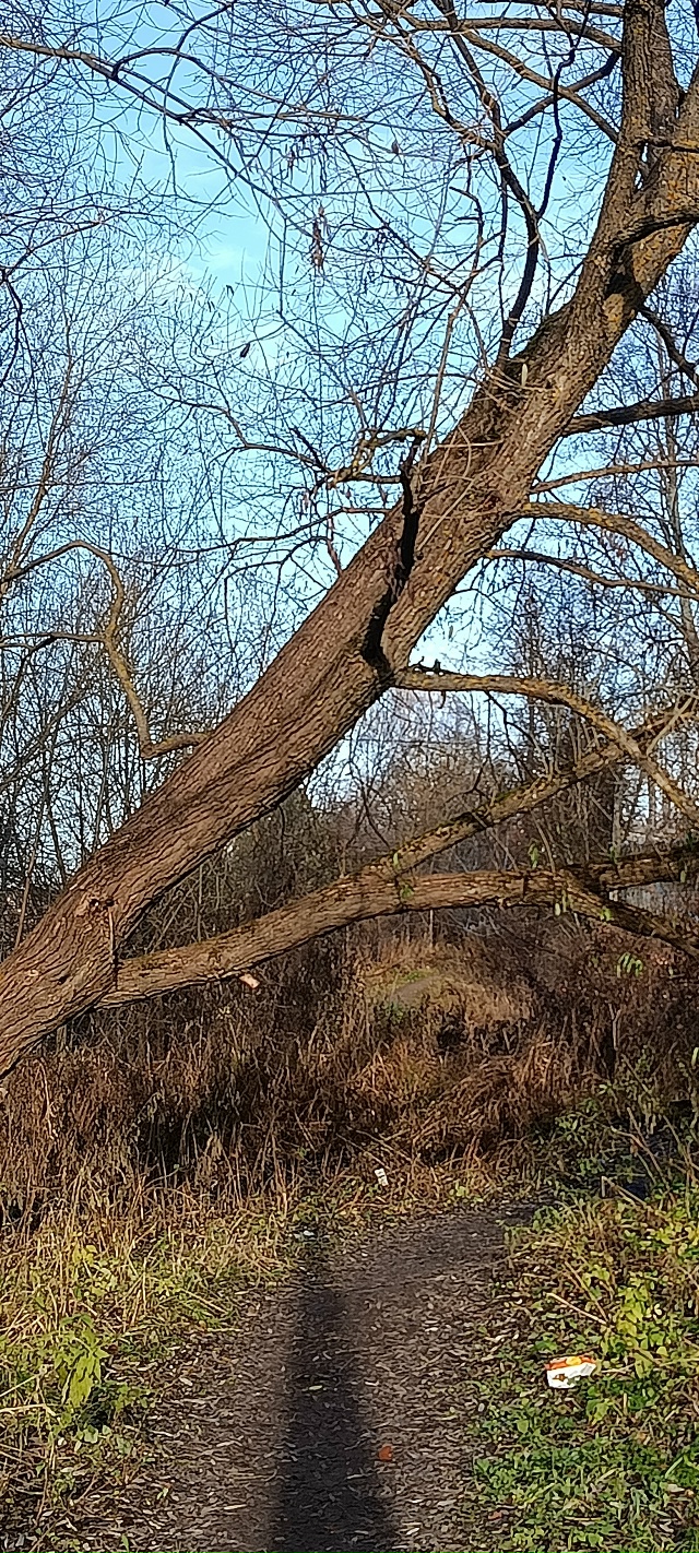 Добрый день уважаемая администрация.Убедительно прос?...