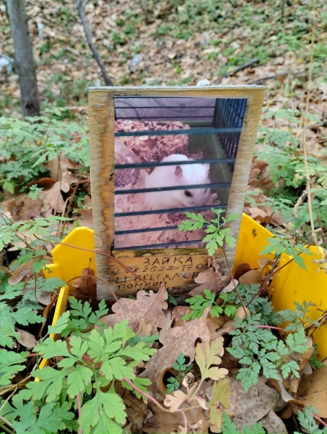 🪦Воронежцы устроили несанкционированное кладбище до...