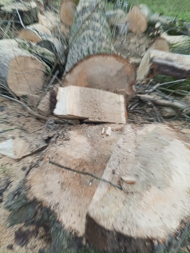 Ну кто же выпиливает по городу никому не мешающие двух?...