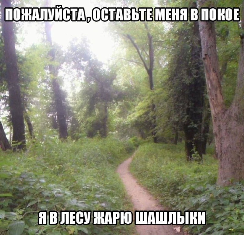 Утренняя подборочка