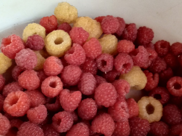 Это мы удачно зашли.