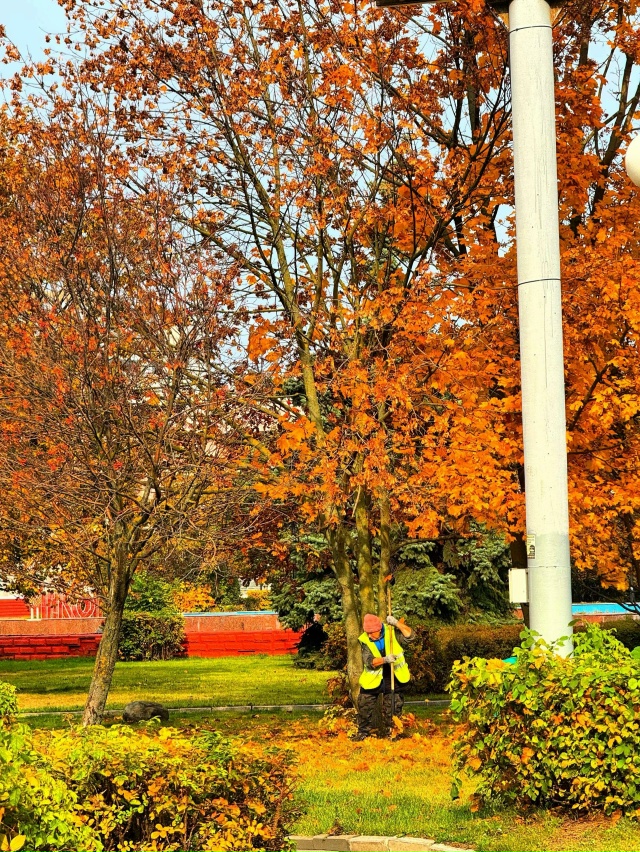 Какая красивая осень 🍂