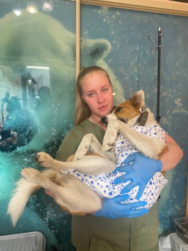 ‼️‼️‼️‼️‼️‼️‼️‼️‼️
. 📣📣📣📣 Последний ден?...