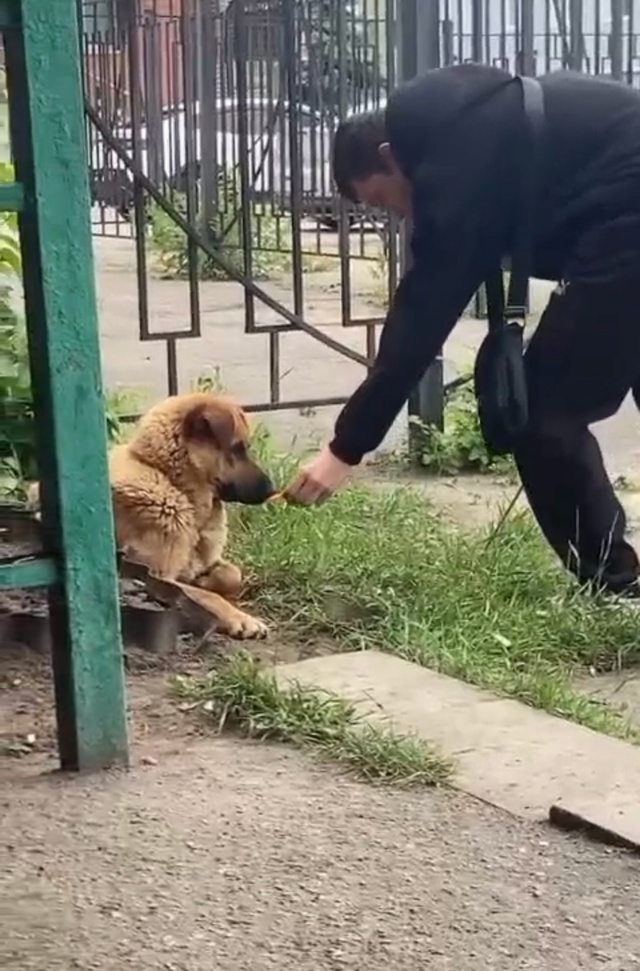 Друзья!
Очень нужна ваша помощь в поисках этих горе «г?...