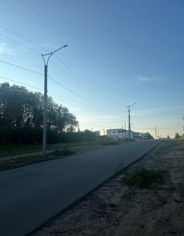 На Магистральной ветки вдоль дорог лежат)
