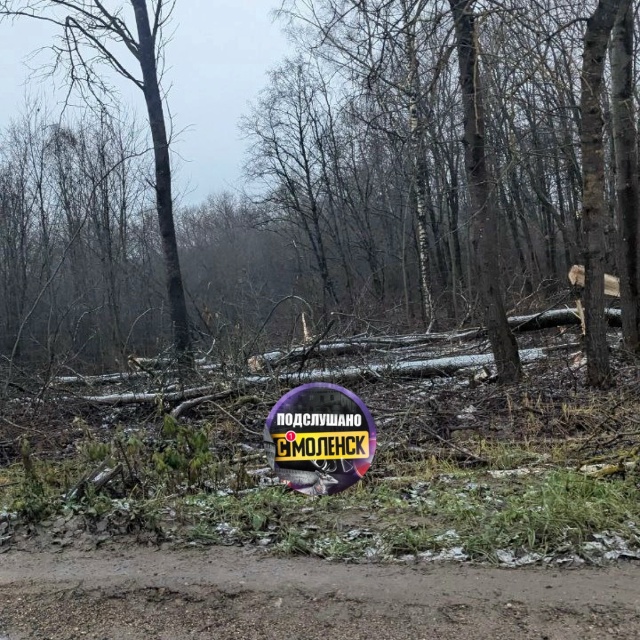 Началась вырубка деревьев в Реадовском парке. Наверно?...