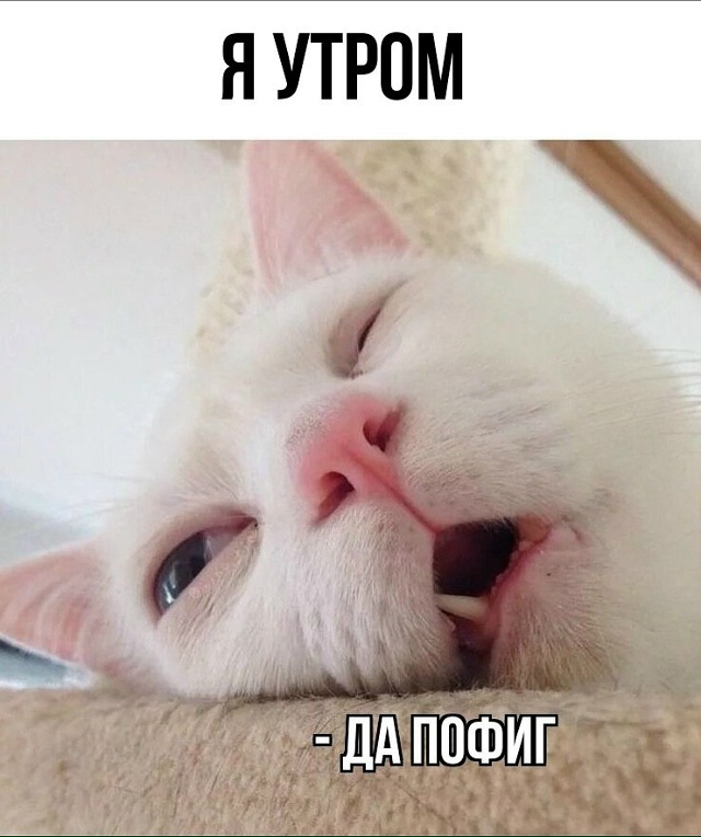 Типичное утро понедельника? Доброе утро Коломна☀