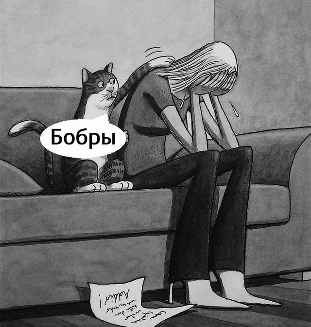 С котом сложно поспорить?