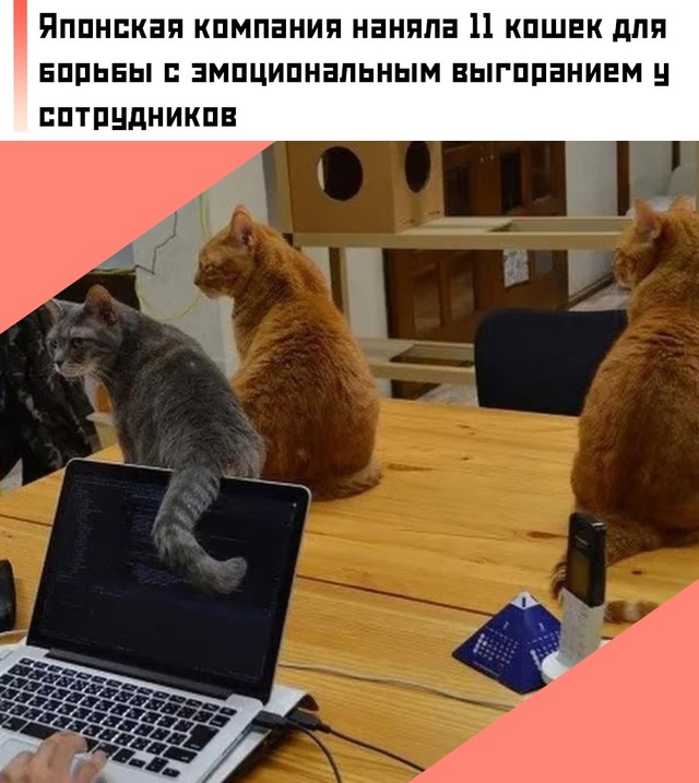 🤔Кто бы мог подумать, что для решения кадровых пробле?...