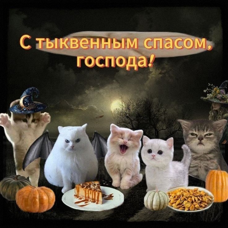 Утренняя подборочка — фото 3
