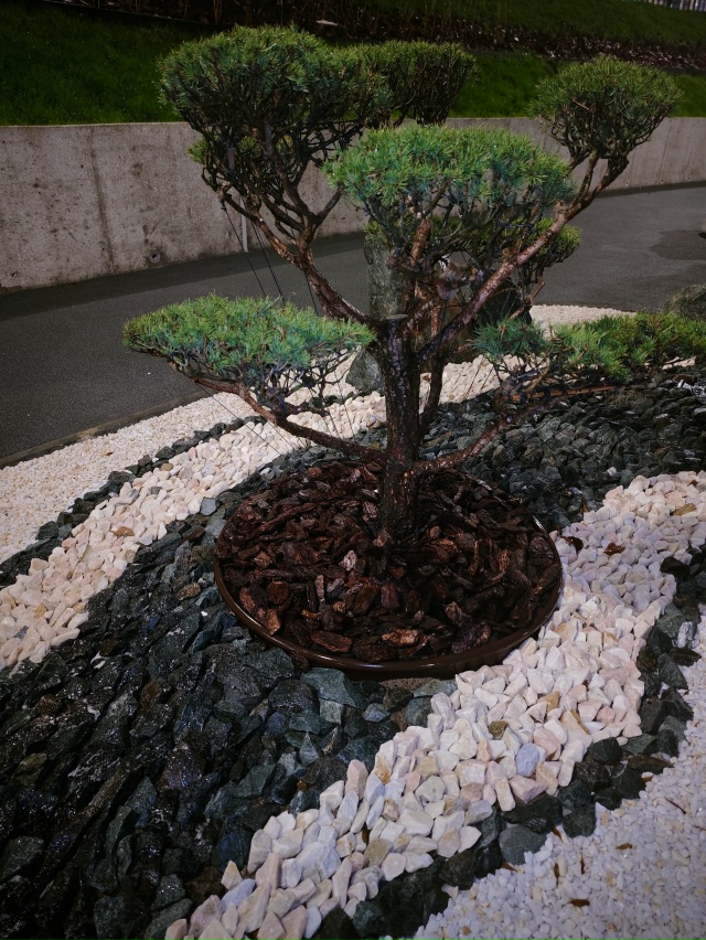 Набережная Перми с ландшафтом в японском стиле.