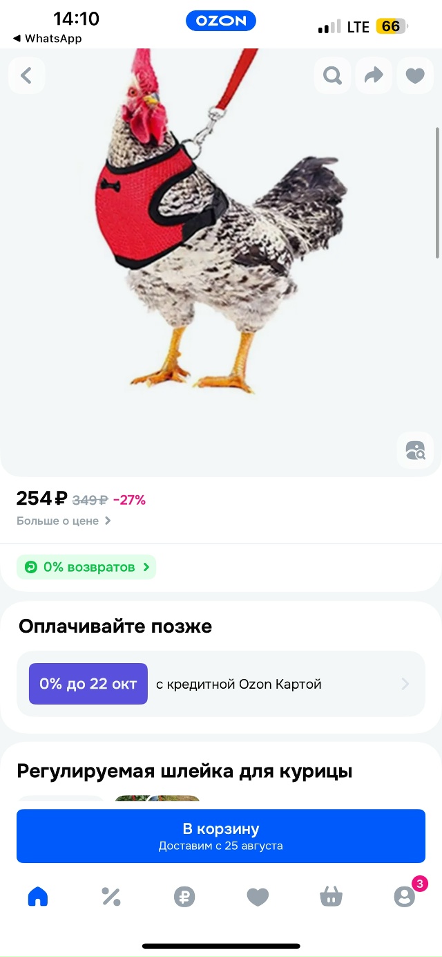 Некоторым водителям автобусов (городских и от организ?...