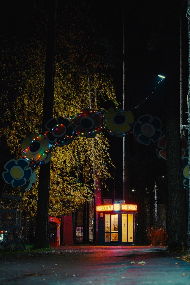 🖤 Вечерний Ковров