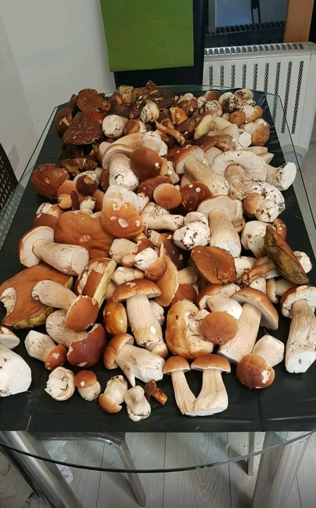 ТИХАЯ ОХОТА. 25 ОКТЯБРЯ 2025 ГОДА 😈