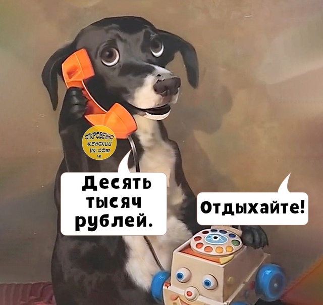 Дa уж.