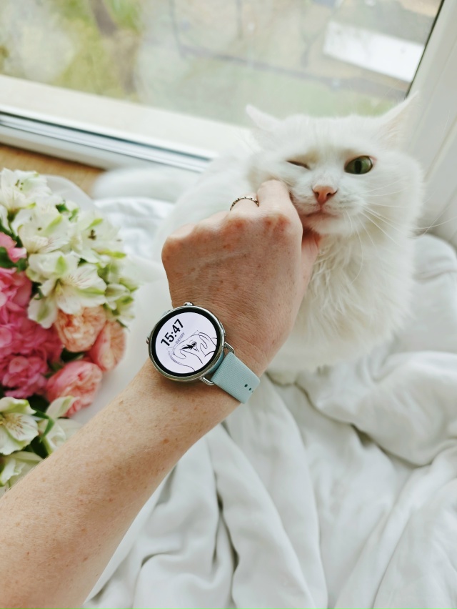 Хорошего дня😽!