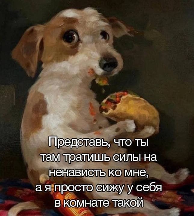 Утренняя подборочка