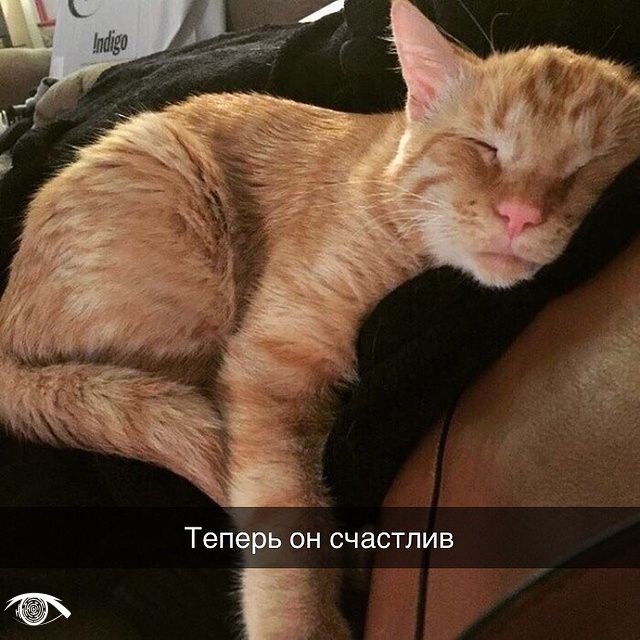 Только посмотрите, как забота и любовь меняет это мале?...