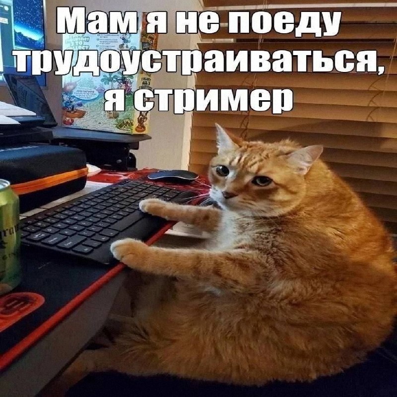 Утренняя подборочка