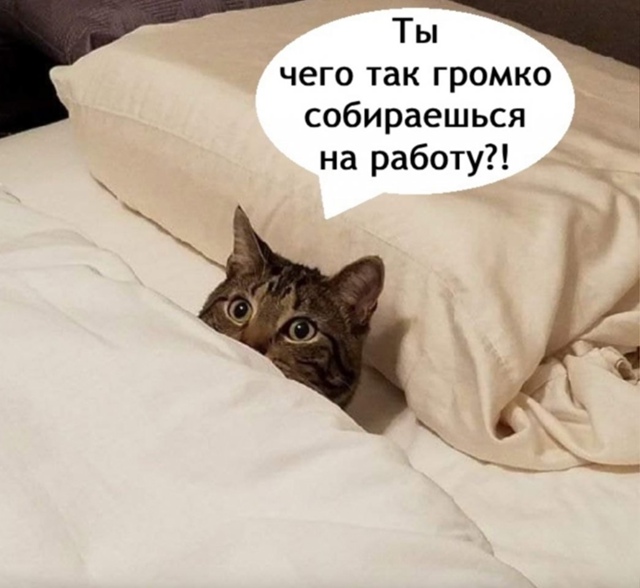 И побыстрее вали на свою работу😅